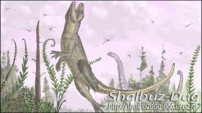 Палеонтологи обнаружили ископаемые останки крокодилоподобного существа размером с кошку...