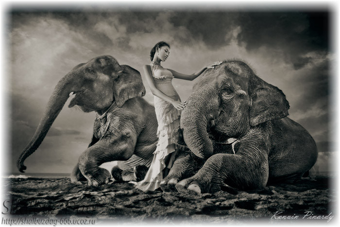 ๖ۣۜ Девушки и слоны ๖ۣۜ Замечательные работы, индонезийского фото-художника Кенвина Пинарди ®Kenvin Pinardy® - (11 фото)