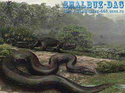 Самая большая змея – Titanoboa.