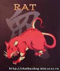 Китайский гороскоп - «Крыса»